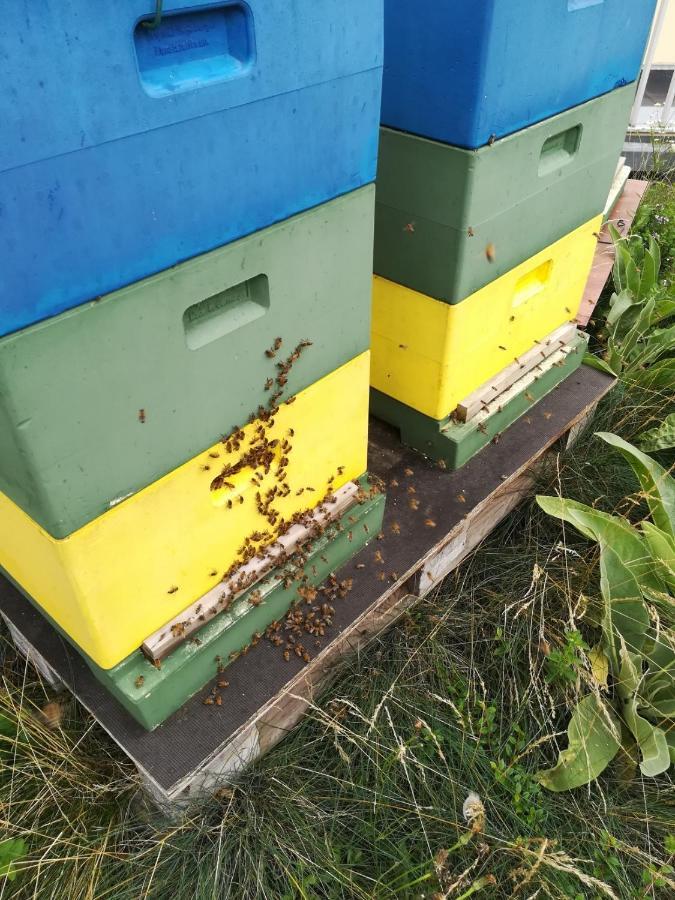 Ferienwohnung Wiesenweg Bad Bederkesa Luaran gambar