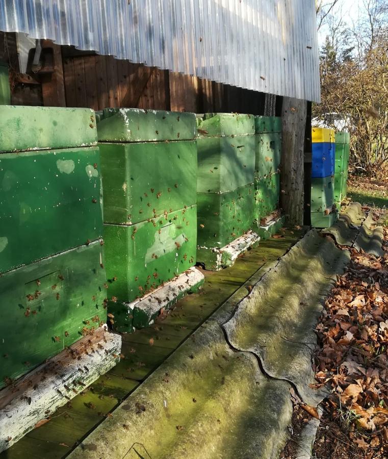 Ferienwohnung Wiesenweg Bad Bederkesa Luaran gambar