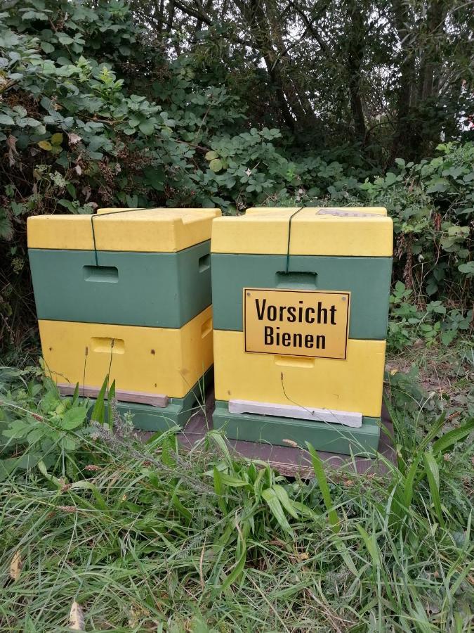 Ferienwohnung Wiesenweg Bad Bederkesa Luaran gambar