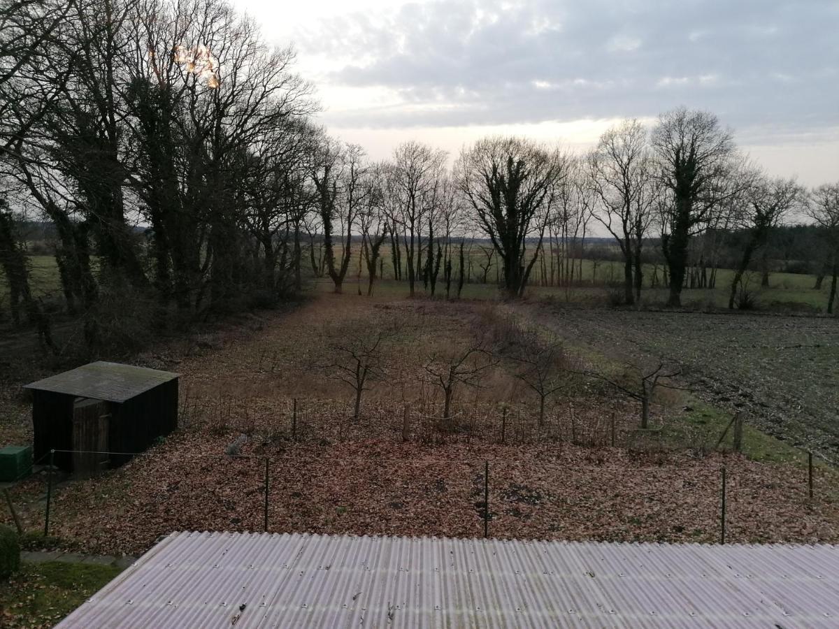 Ferienwohnung Wiesenweg Bad Bederkesa Luaran gambar